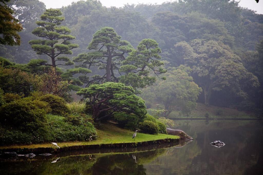 Tora Hotel Tokyo-Rikugienn 寅ホテル 六義園 A Bagian luar foto